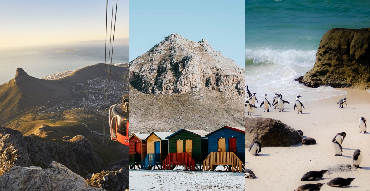 Scenic views of Cape Town with Table Mountain, colorful beach huts, and penguins on Boulders Beach.